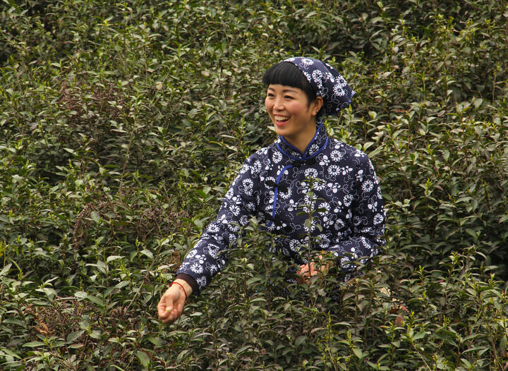 客服联系方式